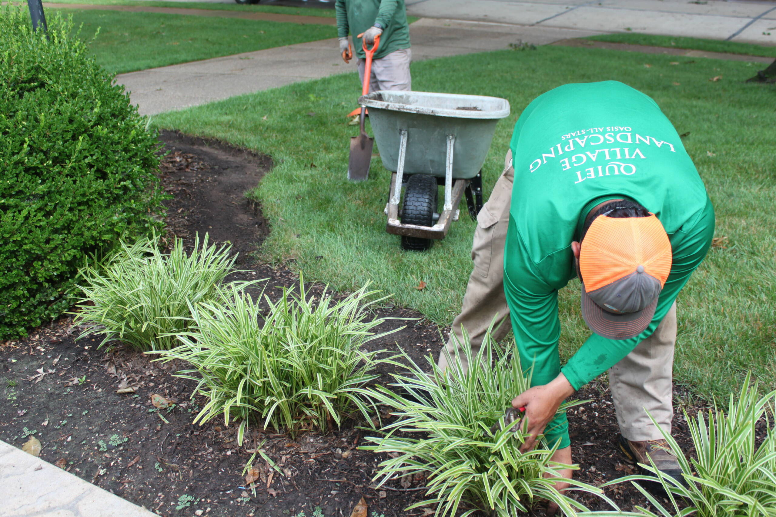 Spade-edged garden bed prepped for planting