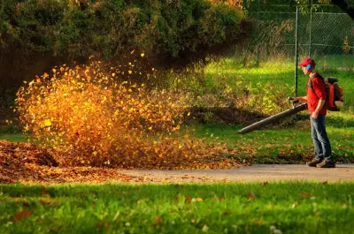 Leaf_Clean_Up